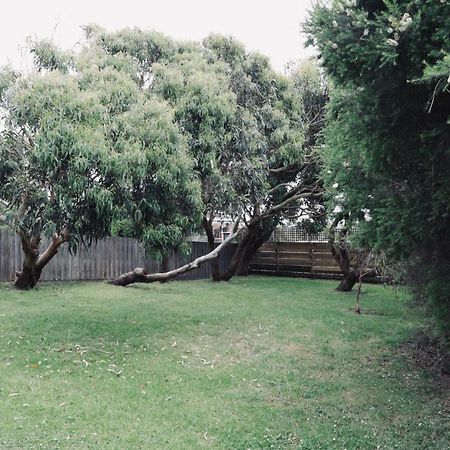 Red Ceder Cottage - Great Ocean Road - Port Campbell Exterior foto